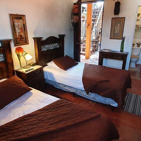 Parrot House Bed and Breakfast Antigua Eksteriør billede